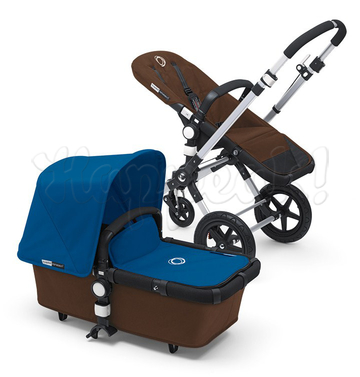 royal blue bugaboo