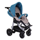 Коляска TEUTONIA COSMO 5025-5040  2 В 1