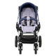Коляска TEUTONIA BE YOU V3 5015-5075 WHL3 HB 2 В 1